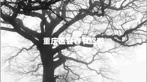 重慶區縣春節旅游