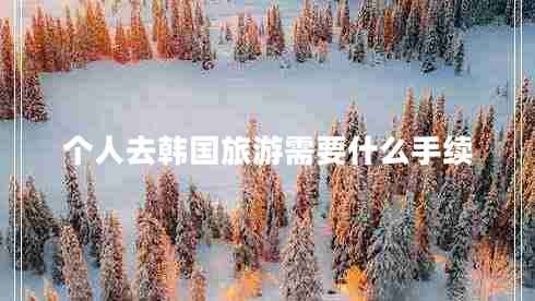 個(gè)人去韓國旅游需要什么手續 個(gè)人去韓國旅游需要什么手續