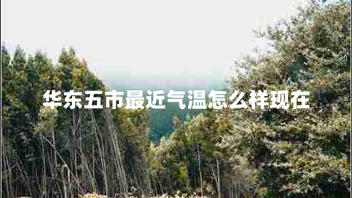 華東五市最近氣溫怎么樣現在