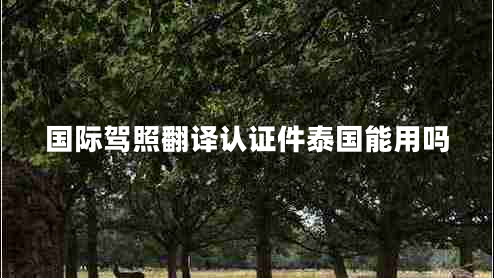 國際駕照翻譯認證件泰國能用嗎