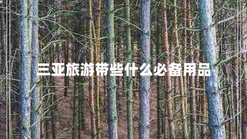 三亞旅游帶些什么必備用品