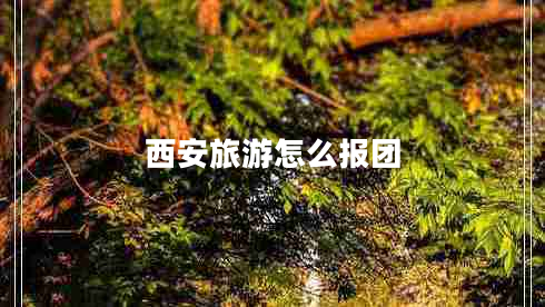 西安旅游怎么報團