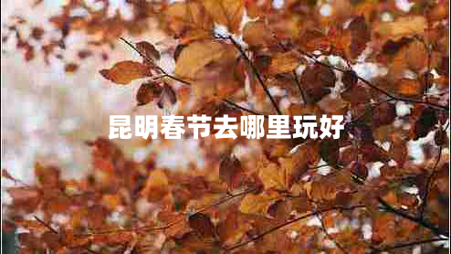 昆明春節去哪里玩好