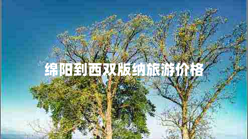 綿陽(yáng)到西雙版納旅游價(jià)格