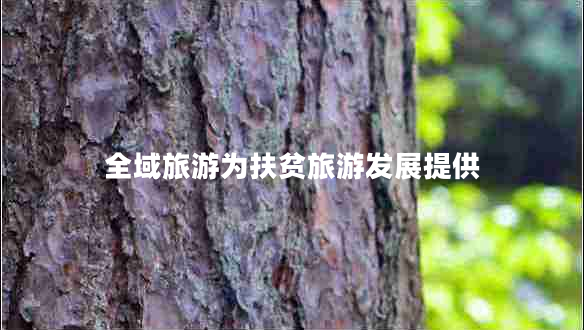 全域旅游為扶貧旅游發(fā)展提供 全域旅游為扶貧旅游發(fā)展提供