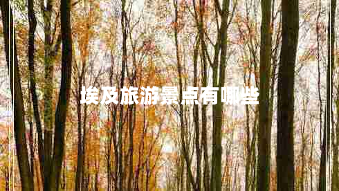 埃及旅游景點(diǎn)有哪些