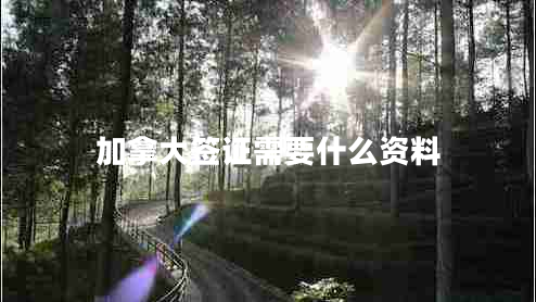 加拿大簽證需要什么資料