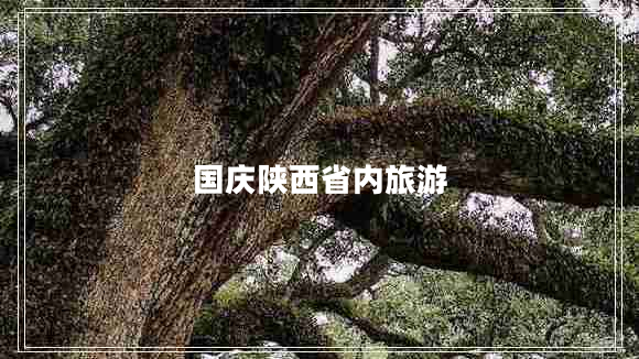 國慶陜西省內旅游