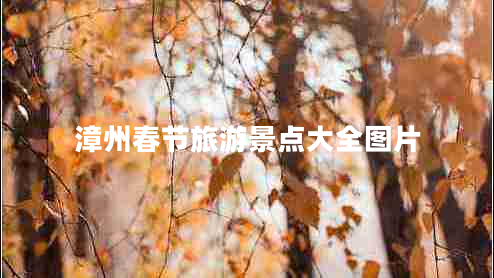 漳州春節旅游景點(diǎn)大全圖片