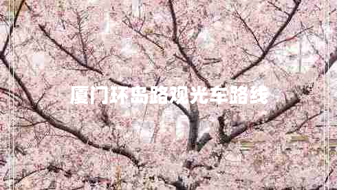 廈門(mén)環(huán)島路觀(guān)光車(chē)路線(xiàn)