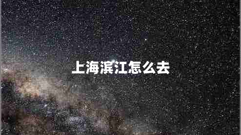 上海濱江怎么去