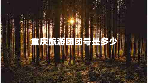 重慶旅游團團號是多少