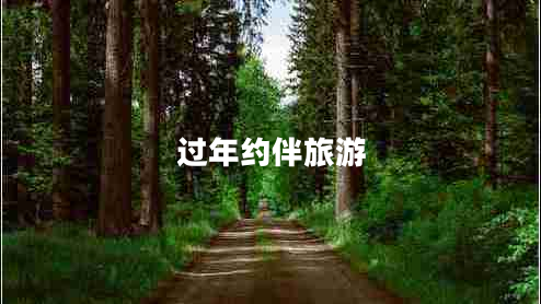 過(guò)年約伴旅游