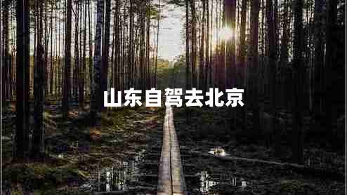 山東自駕去北京