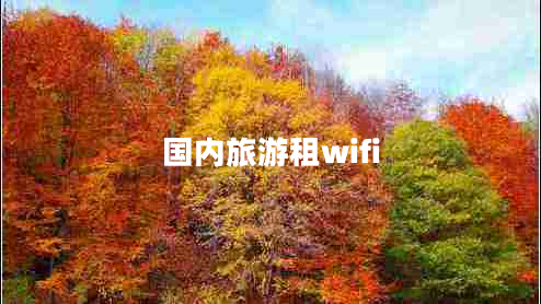 國內旅游租wifi