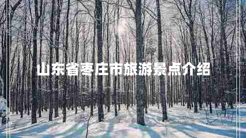山東省棗莊市旅游景點(diǎn)介紹 山東省棗莊市旅游景點(diǎn)介紹