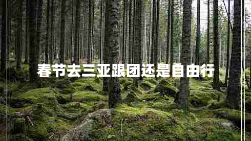 春節去三亞跟團還是自由行