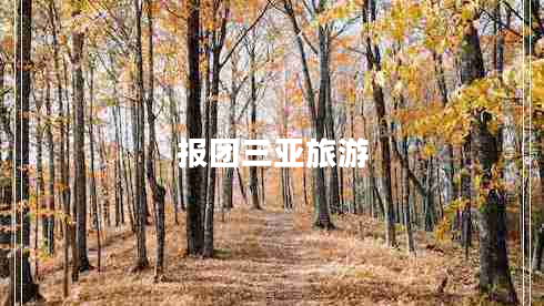 報團三亞旅游