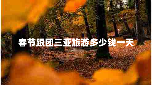 春節跟團三亞旅游多少錢(qián)一天