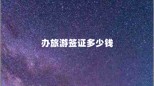 辦旅游簽證多少錢(qián)