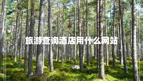 旅游查詢(xún)酒店用什么網(wǎng)站