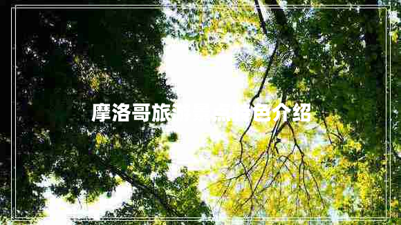 摩洛哥旅游景點(diǎn)特色介紹 摩洛哥旅游景點(diǎn)特色介紹