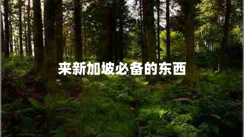 來(lái)新加坡必備的東西