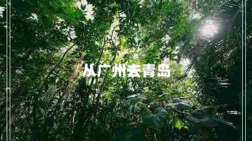 從廣州去青島 從廣州去青島