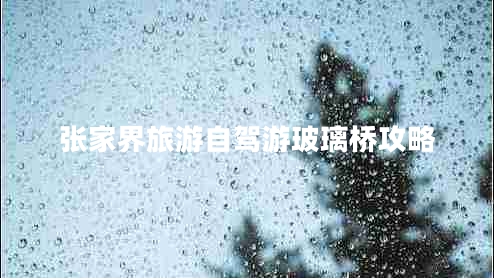 張家界旅游自駕游玻璃橋攻略