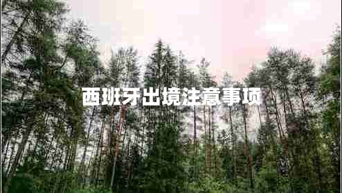 西班牙出境注意事項 西班牙出境注意事項