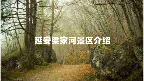 延安梁家河景區介紹