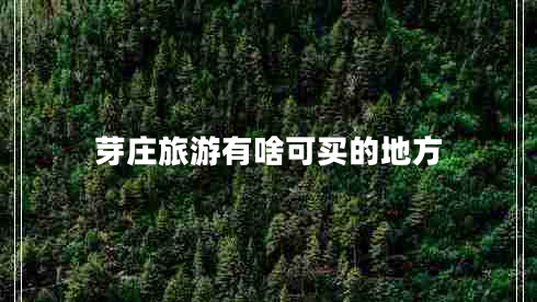 芽莊旅游有啥可買(mǎi)的地方