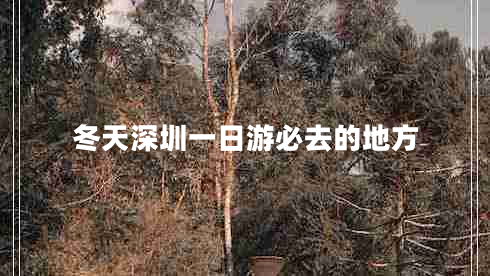 冬天深圳一日游必去的地方