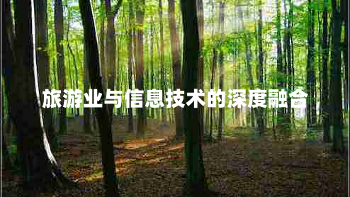 旅游業(yè)與信息技術(shù)的深度融合