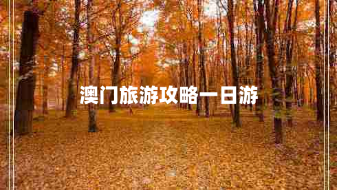 澳門(mén)旅游攻略一日游