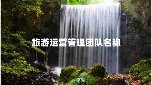 旅游運營(yíng)管理團隊名稱(chēng)