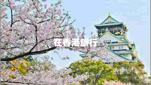 在香港旅行 在香港旅行