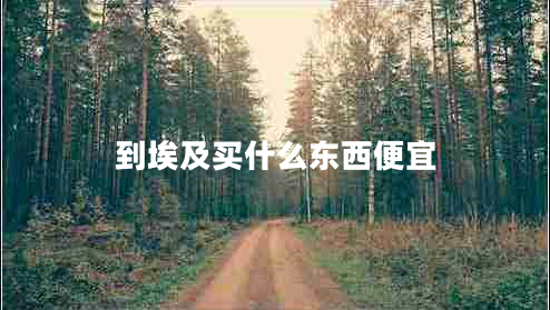 到埃及買(mǎi)什么東西便宜