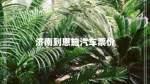 濟南到恩施汽車(chē)票價(jià)