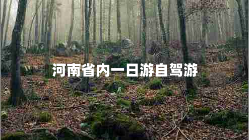 河南省內一日游自駕游