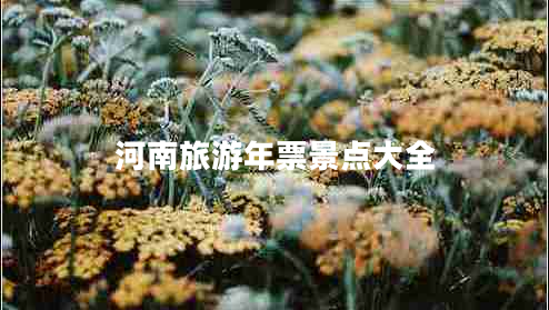 河南旅游年票景點(diǎn)大全 河南旅游年票景點(diǎn)大全