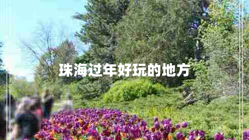 珠海過(guò)年好玩的地方 珠海過(guò)年好玩的地方