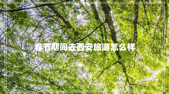 春節期間去西安旅游怎么樣