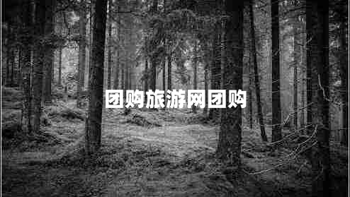 團購旅游網(wǎng)團購