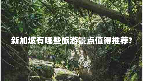 新加坡有哪些旅游景點(diǎn)值得推薦? 新加坡有哪些旅游景點(diǎn)值得推薦?