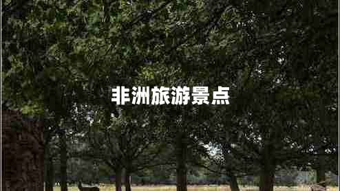 非洲旅游景點(diǎn)