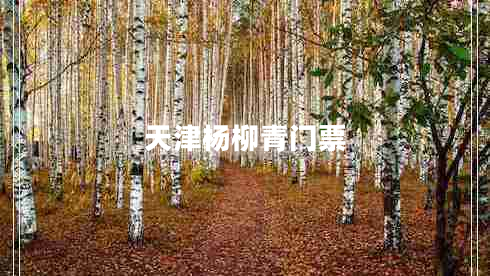 天津楊柳青門(mén)票