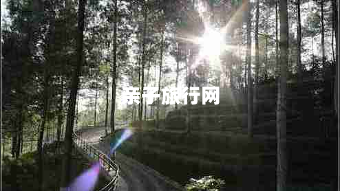 親子旅行網(wǎng)