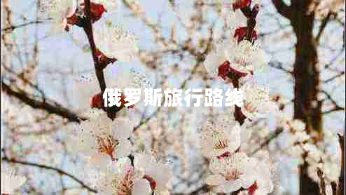 俄羅斯旅行路線(xiàn)