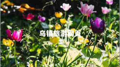 烏鎮旅游網(wǎng)頁(yè)